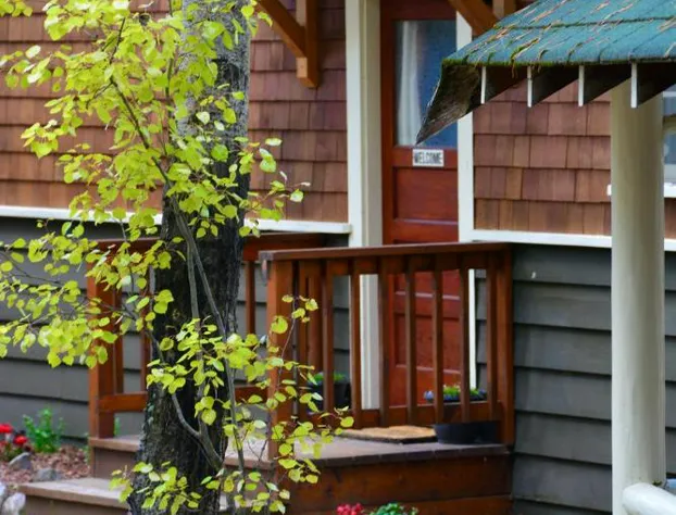 Johnston Canyon Lodge and Bungalows hotel detail image 1
