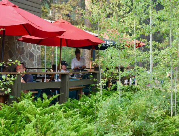 Johnston Canyon Lodge and Bungalows hotel detail image 2