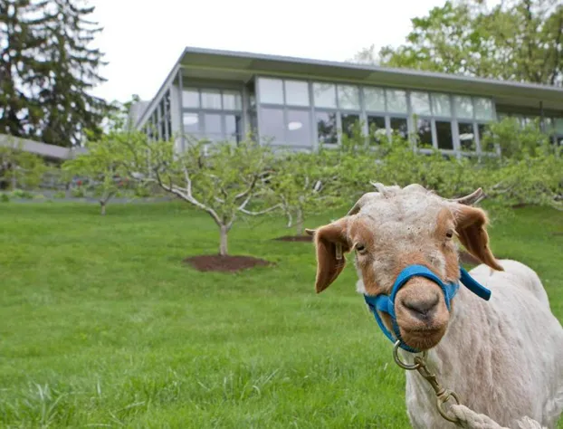 Buttermilk Falls Inn hotel detail image 2