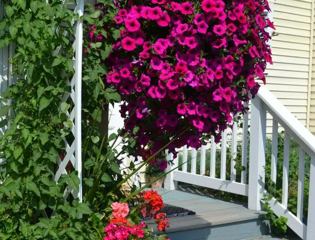 Mountain Treasure B&B hotel detail image 1