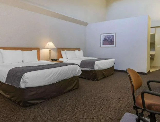 Flamingo Hotel hotel detail image 2