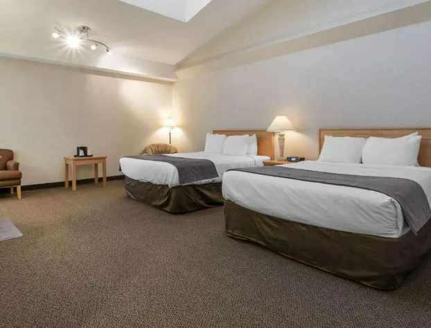 Flamingo Hotel hotel detail image 3