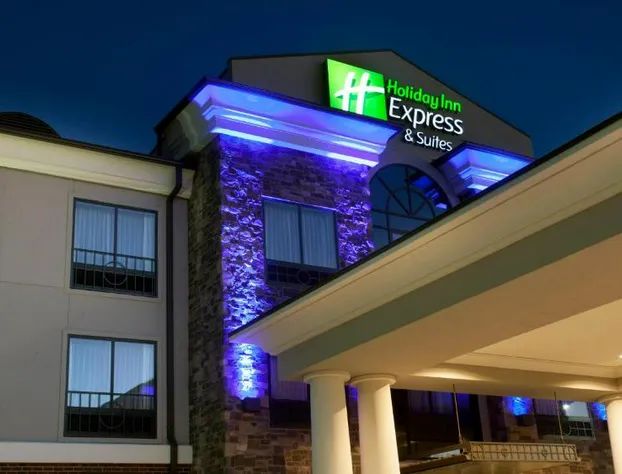 Holiday Inn Express Hotel & Suites Morgan City Tiger Island by IHG hotel detail image 1