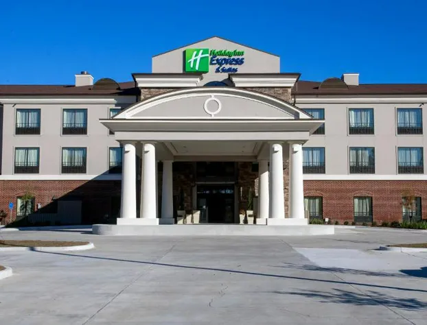 Holiday Inn Express Hotel & Suites Morgan City Tiger Island by IHG hotel detail image 2