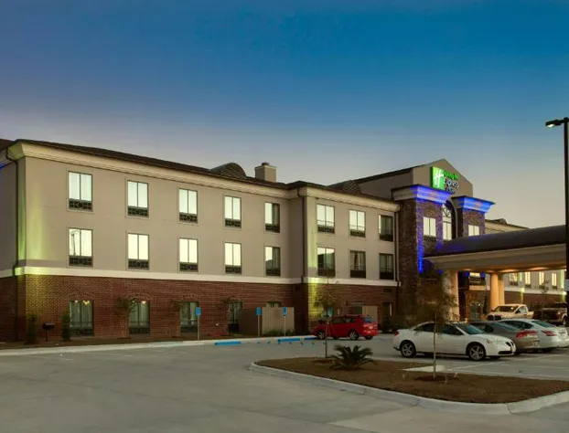 Holiday Inn Express Hotel & Suites Morgan City Tiger Island by IHG hotel detail image 1