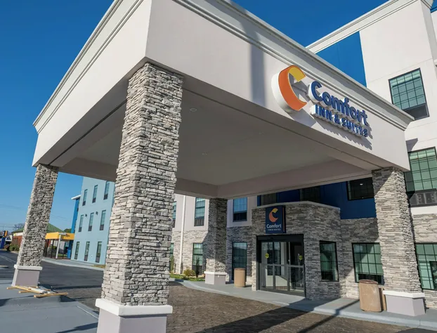 Comfort Inn & Suites River City Decatur hotel detail image 1