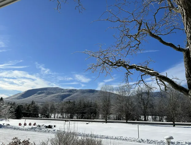 Stanford House hotel detail image 4