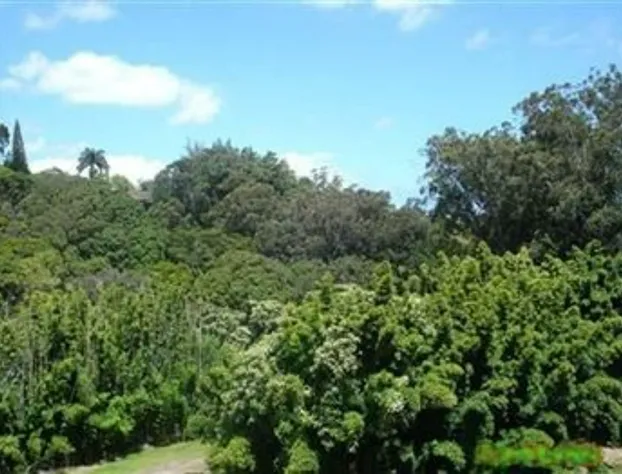 Bamboo Valley Inn hotel detail image 2