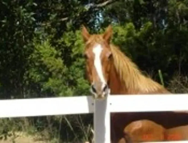 Bamboo Valley Inn hotel detail image 3
