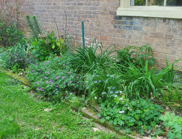 Hall Place Bed and Breakfast hotel detail image 1