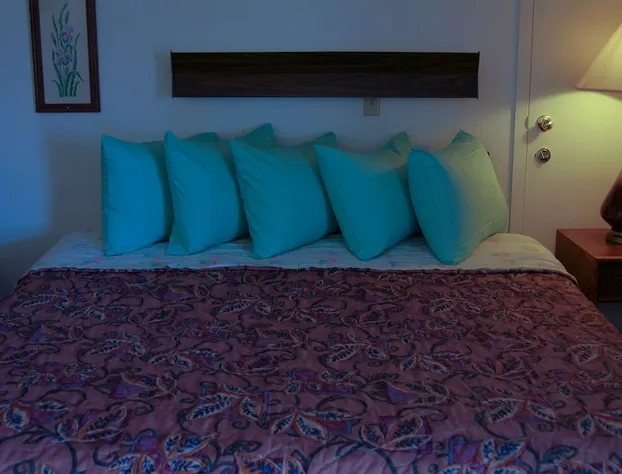 Rainbow Motel Hastings hotel detail image 4