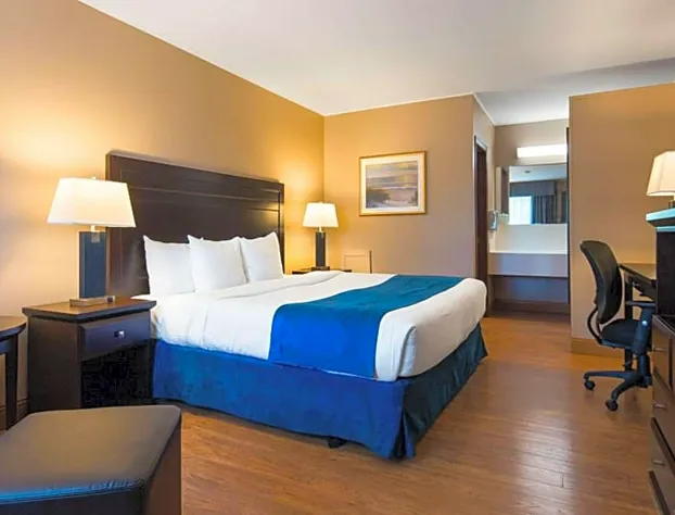 South West Mermaid Inn hotel detail image 3