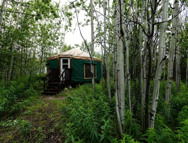 Boréale Ranch hotel detail image 2