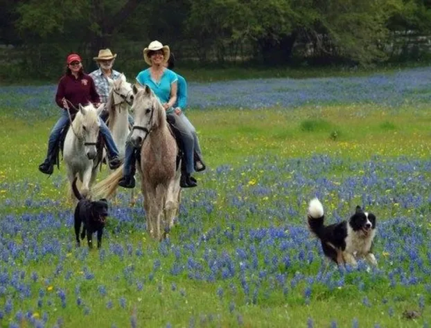 BlissWood B&B Ranch hotel detail image 3