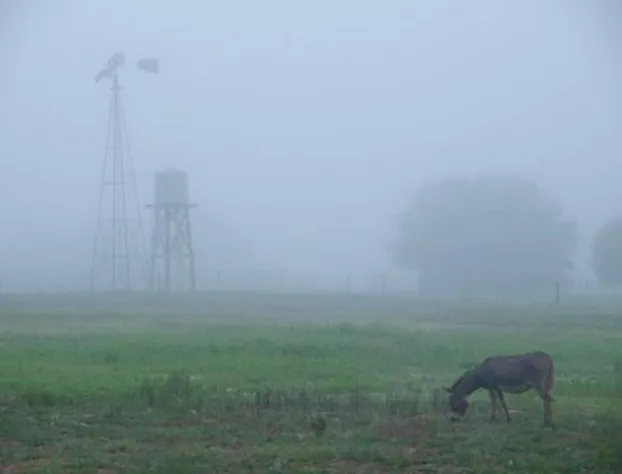 BlissWood B&B Ranch hotel detail image 4