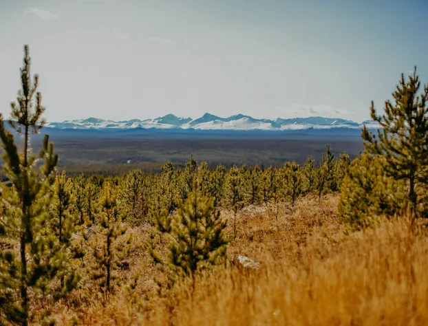 Big Creek Lodge - Working Guest Ranch hotel detail image 4