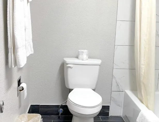 Regency Inn Bald Knob hotel detail image 3