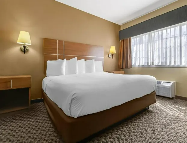 Best Western Plus Shamrock Inn & Suites hotel detail image 3