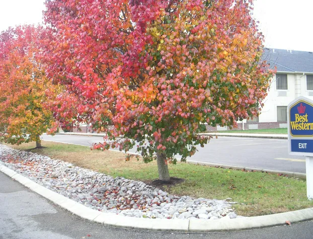 Baymont by Wyndham Albany hotel detail image 1