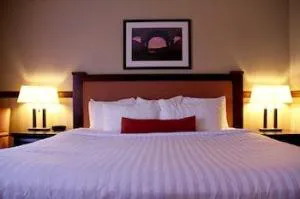 Best Western Diamond Inn hotel detail image 2