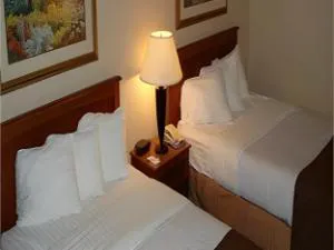 Holiday Inn Johnstown-Gloversville by IHG hotel detail image 1