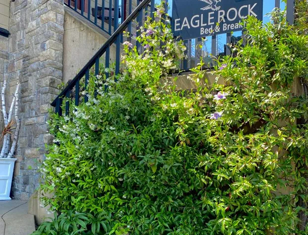 Eagle Rock Bed and Breakfast hotel detail image 4