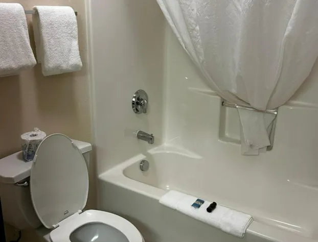 Ameristay Hotel Inn & Suites Waverly hotel detail image 3