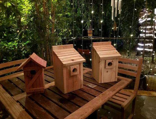 Blue Ridge Manor B&B hotel detail image 4