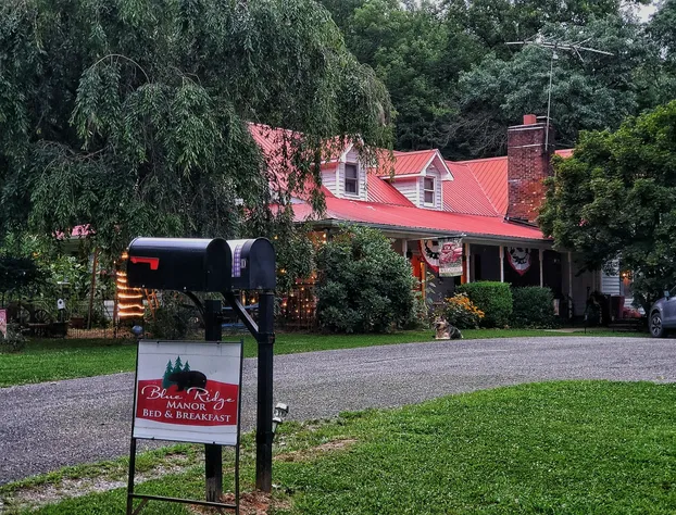 Blue Ridge Manor B&B hotel detail image 2