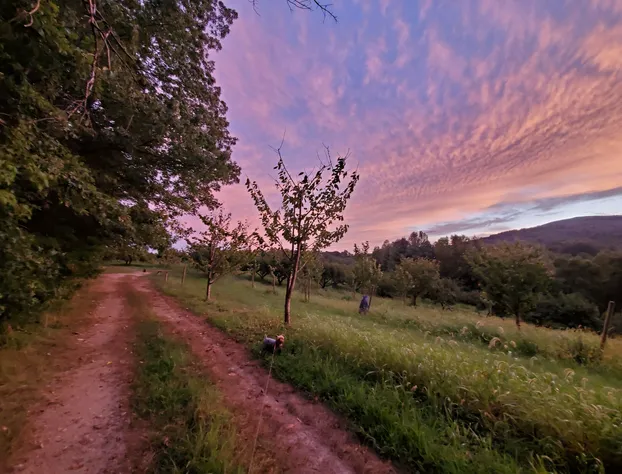Blue Ridge Manor B&B hotel detail image 3