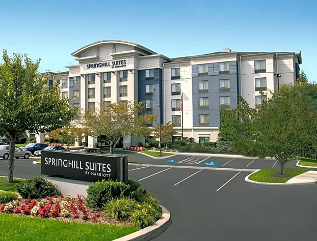 Springhill Suites by Marriott Hagerstown hotel detail image 3