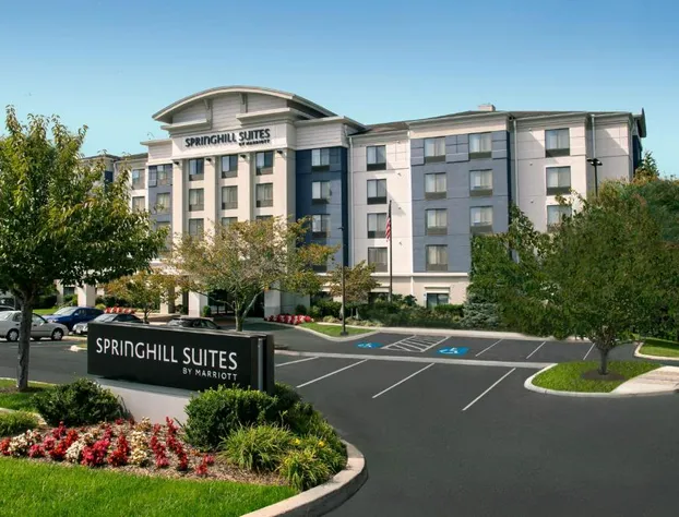 Springhill Suites by Marriott Hagerstown hotel detail image 3