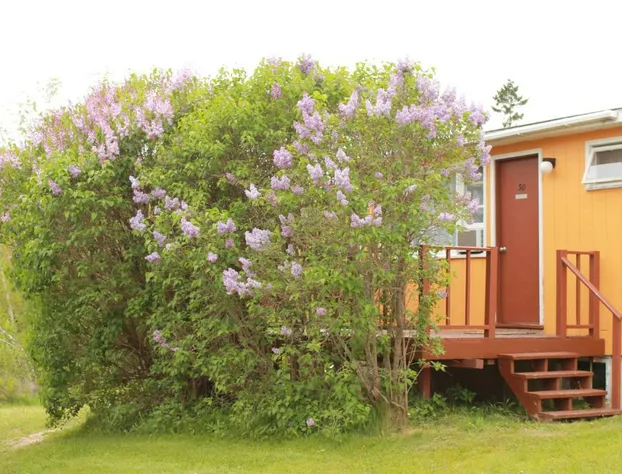 Acadia Gateway Motel hotel detail image 3