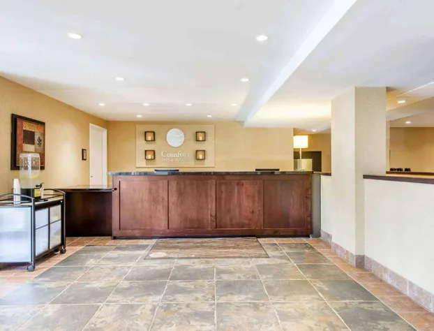 Comfort Inn & Suites hotel detail image 3