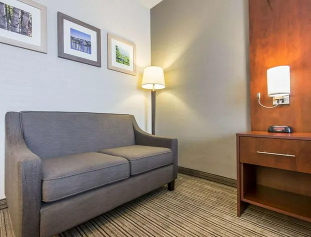 Comfort Inn & Suites hotel detail image 4