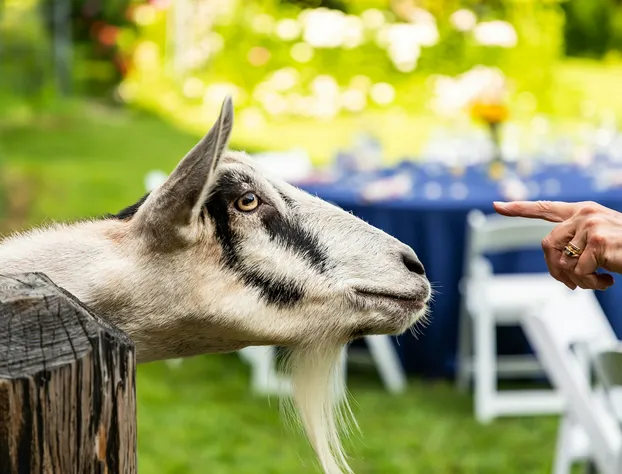 Colby Hill Inn hotel detail image 3