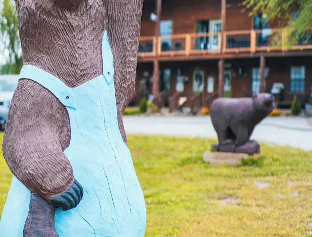 Bear Inn Retreat hotel detail image 1
