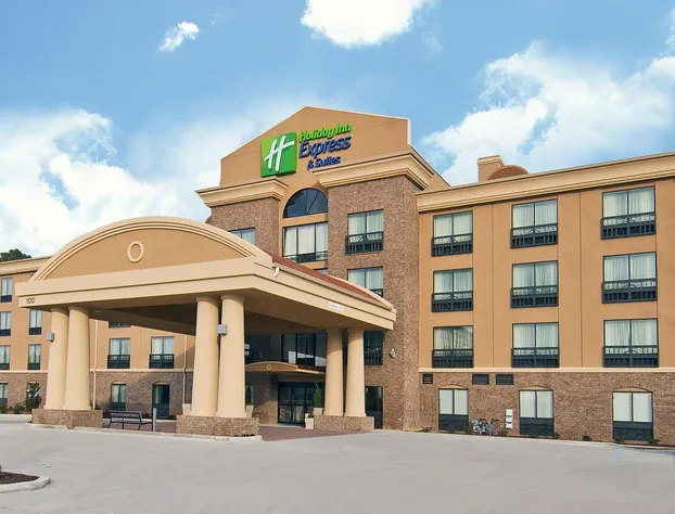 Holiday Inn Express & Suites Jackson / Pearl Intl Airport by IHG hotel detail image 1