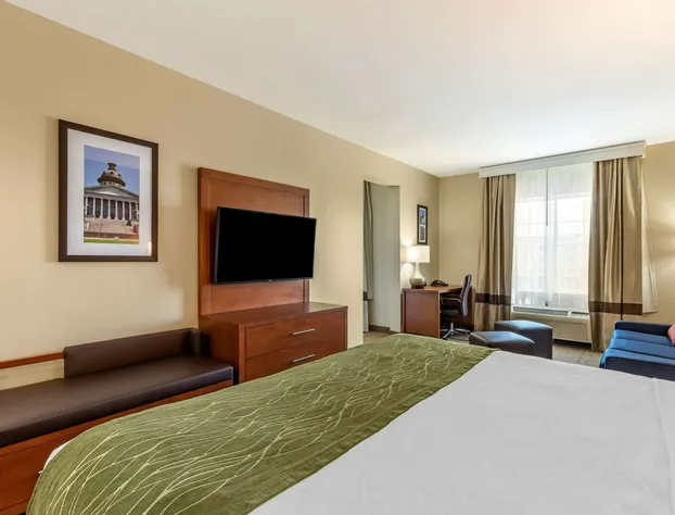 Comfort Inn & Suites Orangeburg hotel detail image 4
