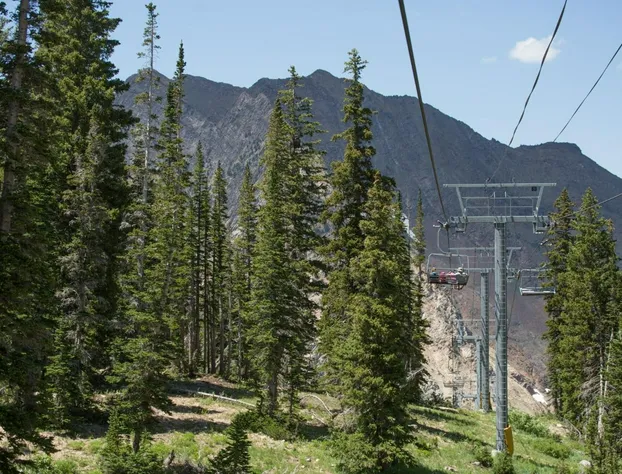 The Inn hotel detail image 3