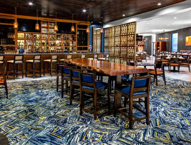 DoubleTree by Hilton Hotel Arlington DFW South hotel detail image 2