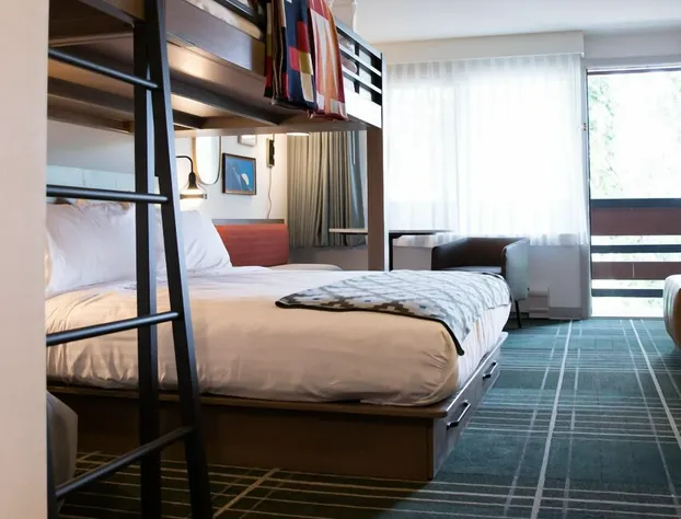 Wildwood Snowmass hotel detail image 3