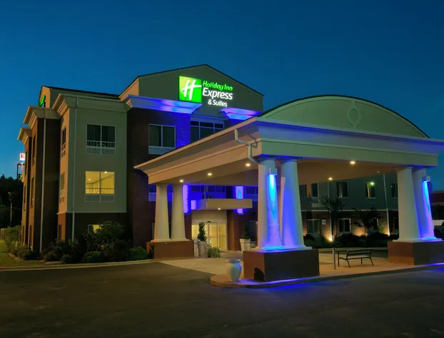 Holiday Inn Express Hotel & Suites Brookhaven by IHG hotel detail image 1