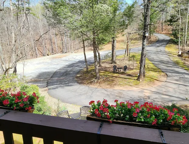 Lily Creek Lodge hotel detail image 1