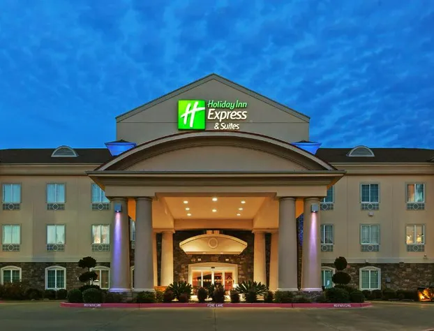 Holiday Inn Express Hotel & Suites Kilgore by IHG hotel detail image 1