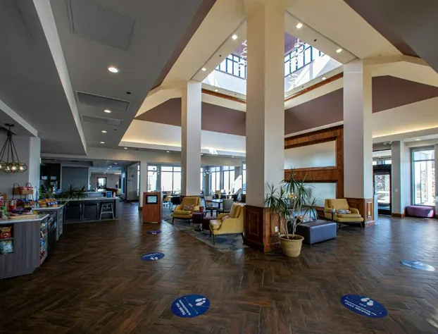 Hilton Garden Inn Rapid City hotel detail image 3