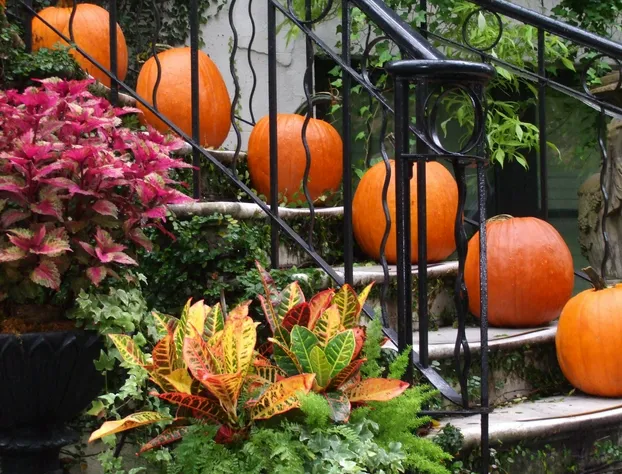 Ballastone Inn hotel detail image 3