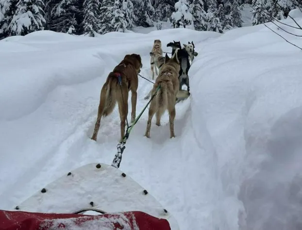 Cahilty Hotel & Suites hotel detail image 3