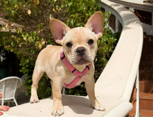 Granada Inn hotel detail image 4