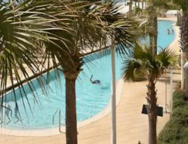 Sterling Resorts -Calypso Resorts and Towers hotel detail image 2